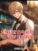 查寝查出电磁炮，我被国家收编了